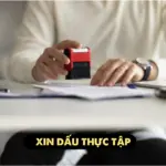 Trang chủ 4 dịch vụ xin dấu thực tập