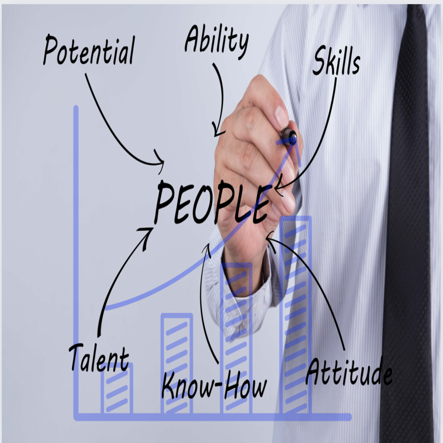 Quản trị nhân lực kim chỉ nam soi sáng mọi thành công 4 Mo hinh quan tri nhan luc hien nay tai Viet Nam