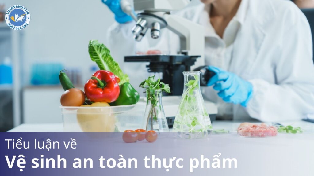 Tải miễn phí mẫu tiểu luận về vệ sinh an toàn thực phẩm kèm đề tài 2025 15 Cach lam