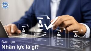 Đào tạo nhân lực là gì