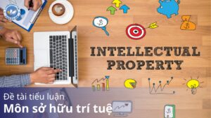 Đề tài tiểu luận môn sở hữu trí tuệ