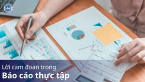 lời cam đoan trong báo cáo thực tập