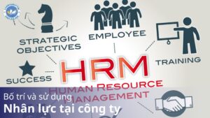 Bố trí và sử dụng nhân lực tại công ty