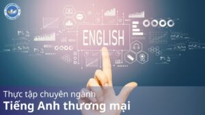 Thực tập chuyên ngành tiếng Anh thương mại