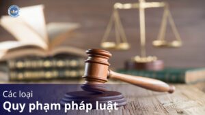 các loại quy phạm pháp luật