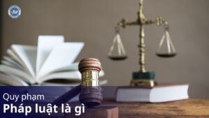 quy phạm pháp luật là gì