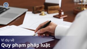ví dụ về quy phạm pháp luật