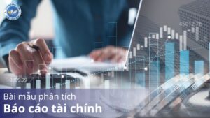 Bài mẫu phân tích báo cáo tài chính