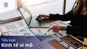 tiểu luận kinh tế vi mô