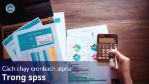 cách chạy cronbach alpha trong spss