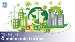Tiểu luận về ô nhiễm môi trường