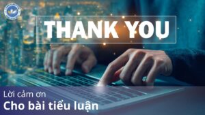 Lời cảm ơn cho bài tiểu luận