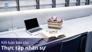 Kết luận báo cáo thực tập nhân sự