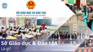 Sở Giáo dục và Đào tạo