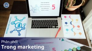 Phân phối trong marketing