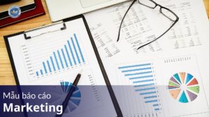 ban an go co may loai nen mua loai nao tot nhat 1