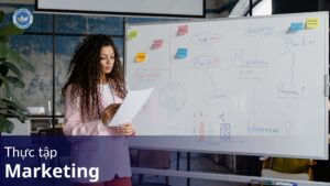 Thực tập Marketing