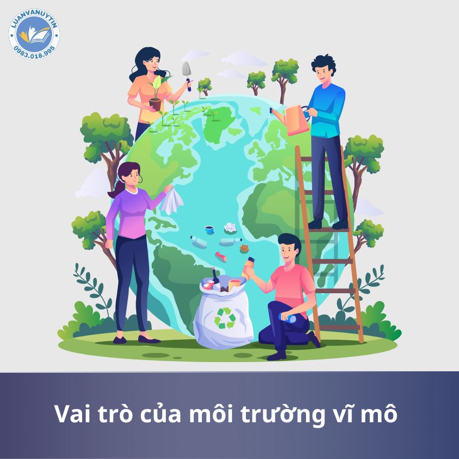Vai trò của môi trường vĩ mô